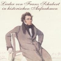 Der Zwerg