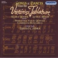 Sstesty gest nestale nema - Volta - 'Mascarada - Corant'