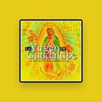 Virgen de Guadalupe