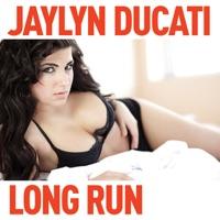 Long Run (DJ Skribble Mix)