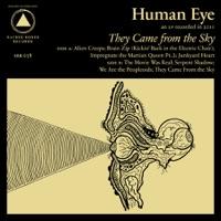 They Came from the Sky