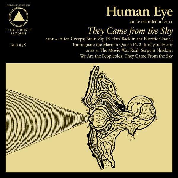 They Came from the Sky