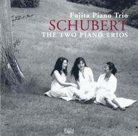 Piano Trio No. 2 in E flat major, Op. 100, D. 929: II. Andante con moto