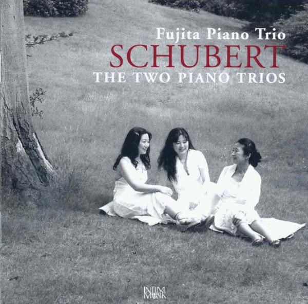 Piano Trio No. 2 in E flat major, Op. 100, D. 929: I. Allegro