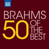 String Quartet in A Minor, Op. 51, No. 2: IV. Finale: Allegro non assai
