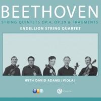 String Quintet in E-Flat Major, Op. 4: IV. Finale - Presto