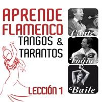 Tarantos Sin Taconeo