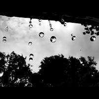 Shower Me (feat. Radience)