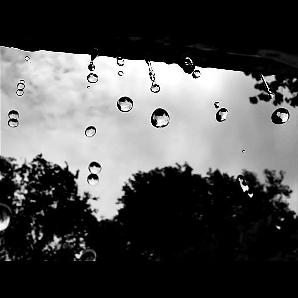 Shower Me (feat. Radience)