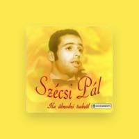 Szécsi Pál