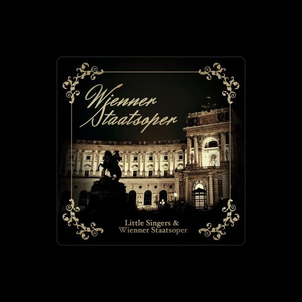 Das Orchester der Wiener Staatsoper