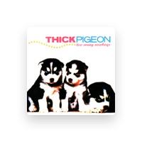 Thick Pigeon
