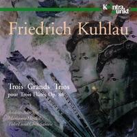 Grand Trio, Op. 86 III: I. Allegro non Troppo