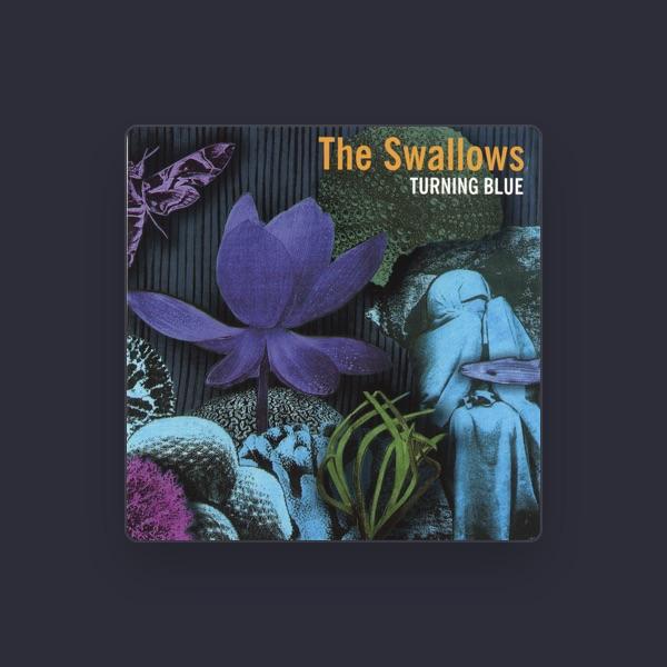 The Swallows