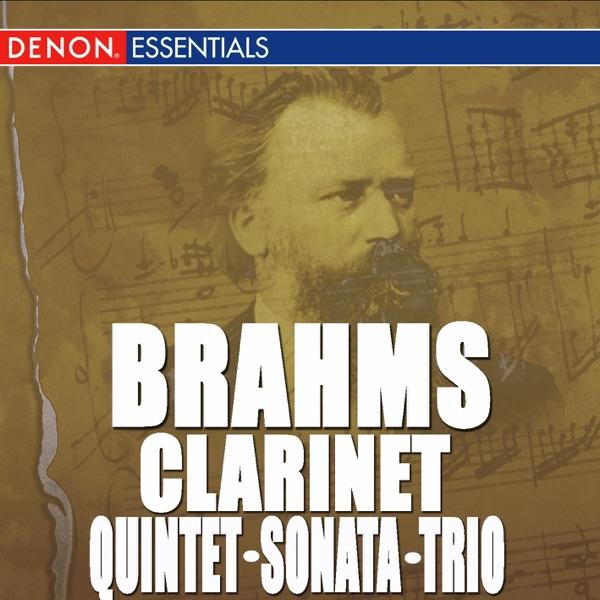 Sonata for Clarinet and Piano No. 2 In E-Flat Major, Op. 120: III. Andante Con Moto