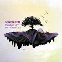 Revolution Sound