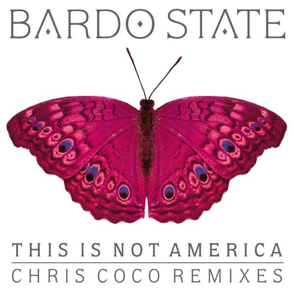 This Is Not America (Out of Character Remix)