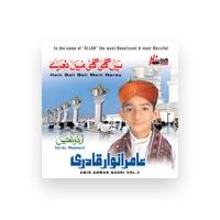 Amir Anwar Qadri