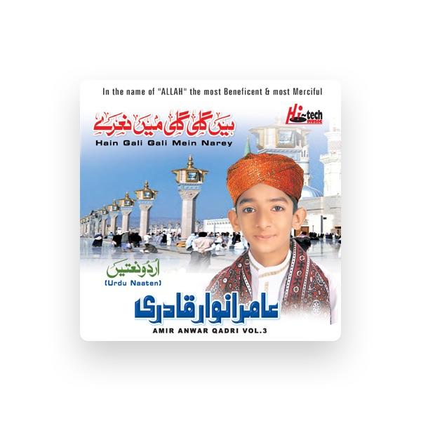 Amir Anwar Qadri