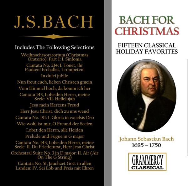 Orchestral Suite No. 3 In D Major, BWV 1068: II. Air (Air On the G String)