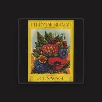 Joe Savage