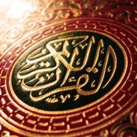 Surat Al Hujurat