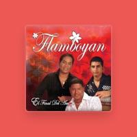 Flamboyan