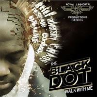 Rite On (feat. Professor Griff & Nyoil)