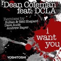 I Want You (Andrew Bayer Instrumental)