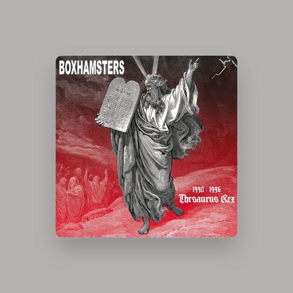 Boxhamsters