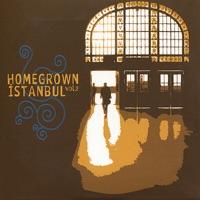 Bir Istanbul Gecesi