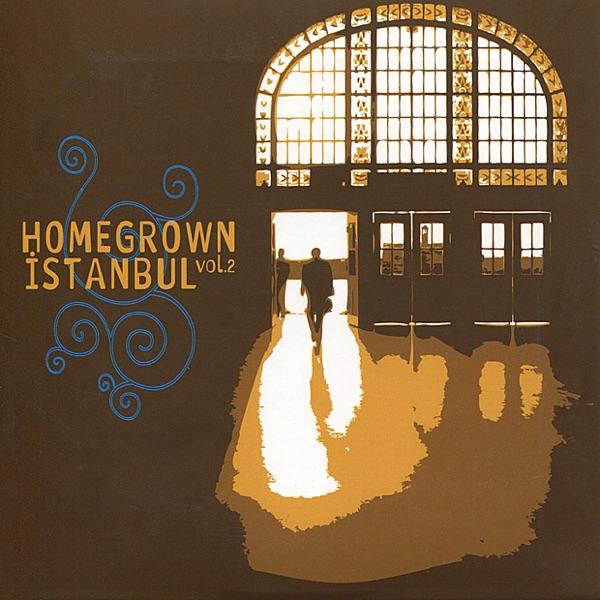 Bir Istanbul Gecesi