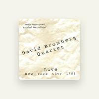 David Bromberg Quartet