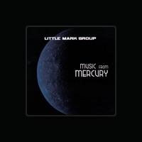 Little Mark Group