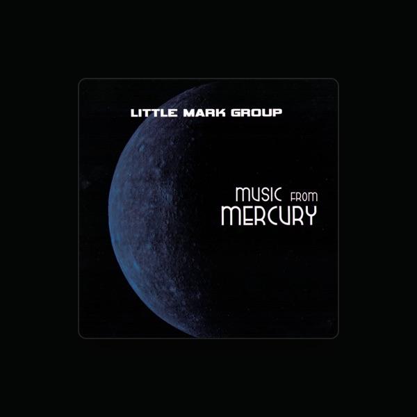 Little Mark Group