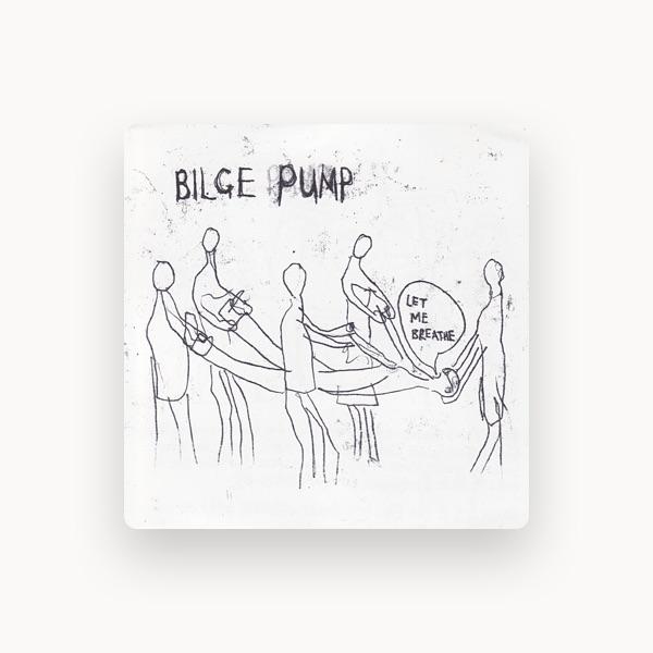 Bilge Pump