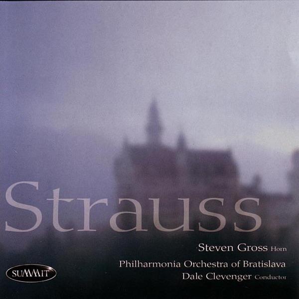 Horn Concerto No. 2: III. Rondo: Allegro Molto