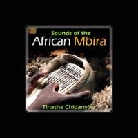 Tinashe Chidanyika