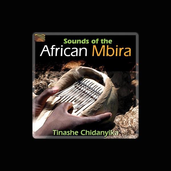 Tinashe Chidanyika
