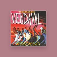 Sonora Vendaval