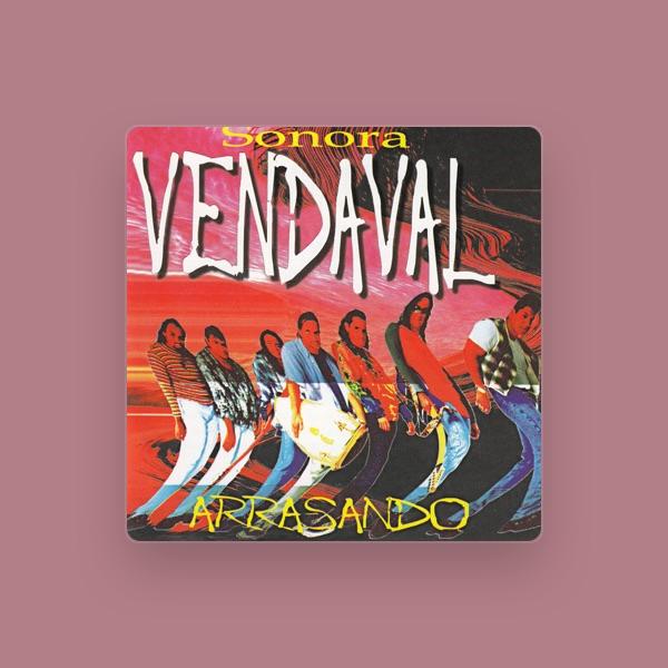 Sonora Vendaval