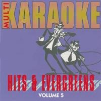 Nutbush City Limits (Karaoke Version)