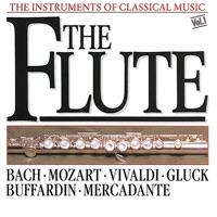 Concerto For Two Recorders In D Minor, RV 566 - I. Allegro Assai, II. Largo, III. Allegro