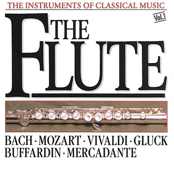 Concerto For Two Recorders In D Minor, RV 566 - I. Allegro Assai, II. Largo, III. Allegro