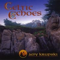 Carolan's Welcome / Coleraine Jig (feat. Barry Phillips, Todd Denman & Michael Roche)