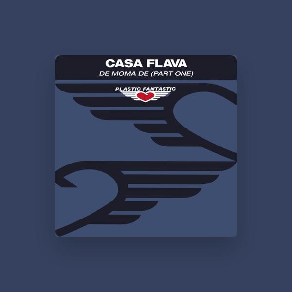 Casa Flava