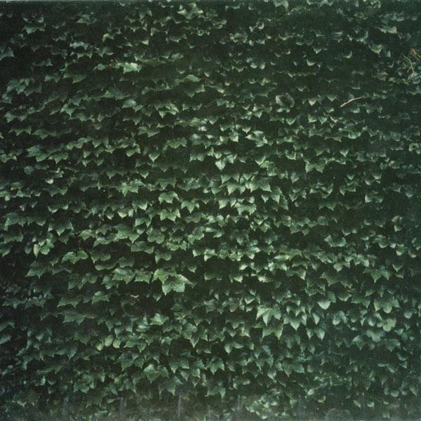 Popul Vuh