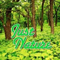 Thunder Rolls and Quiet Rain Nature Sound