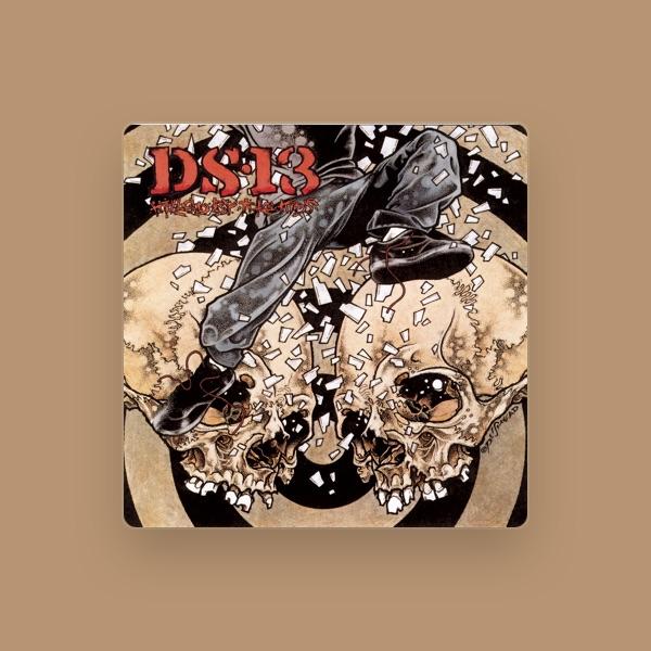 DS 13