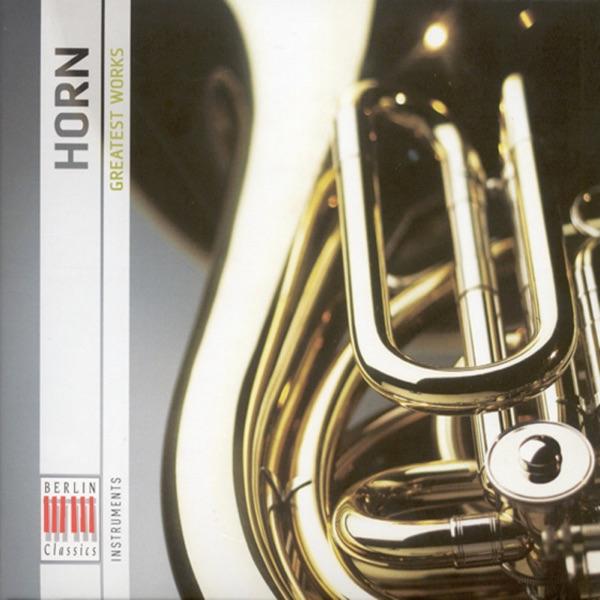 Concerto in D Major: III. Largo